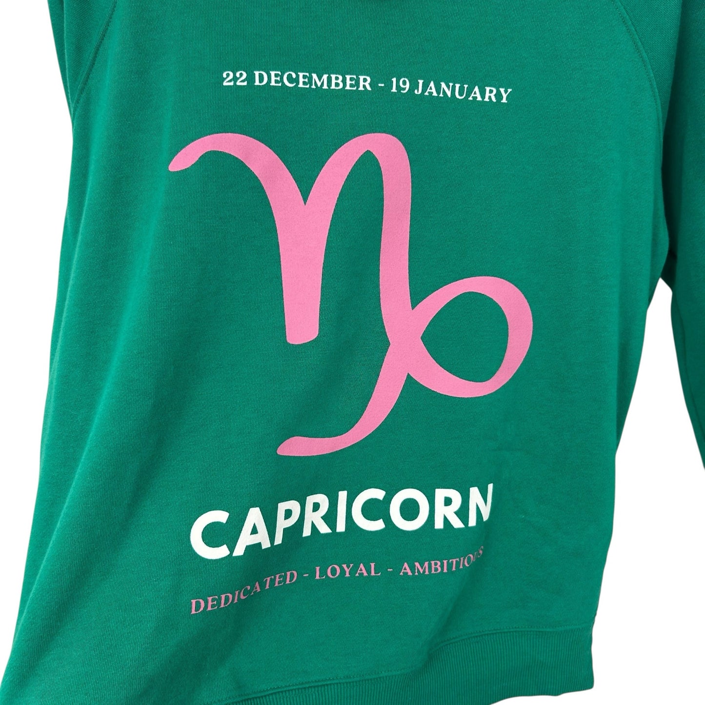 Anthropologie x Catherine O'Sullivan Green Pink Capricorn Sweatshirt Womens XS
