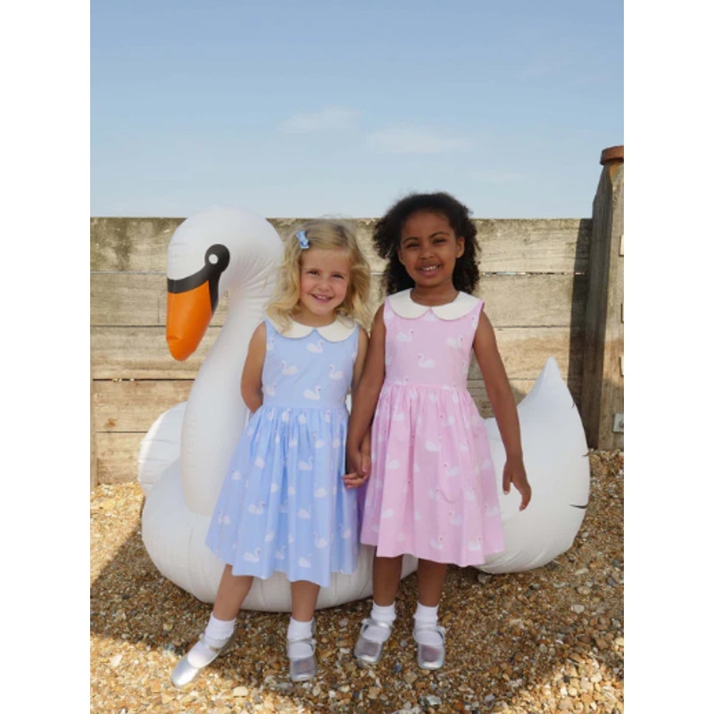 Rachel Riley Blue White Swan Print Peter Pan Collar Fit & Flare Dress Girls 8Y